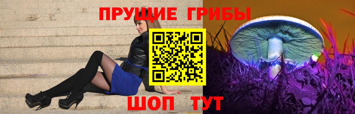 Городец  Псилоцибиновые грибы Psilocybe  Галлюциногенные грибы ЛСД  Вход с VPN 